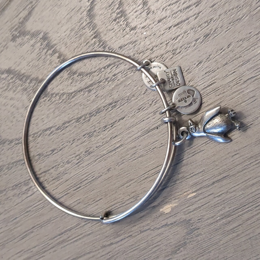 Alex and Ani penguin bangle